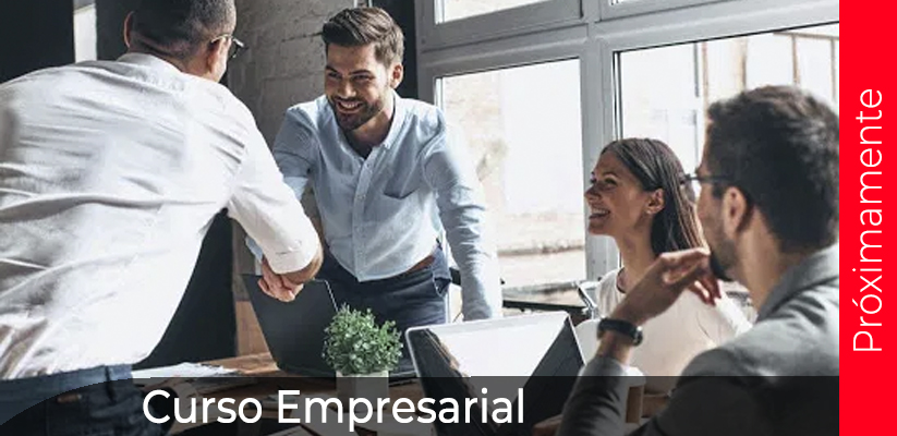 Into English-Curso Empresarial